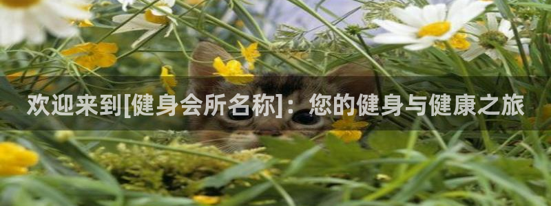 意昂2官方网站