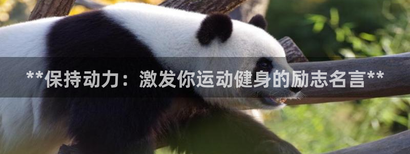 意昂2娱乐