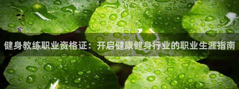 意昂2官方平台